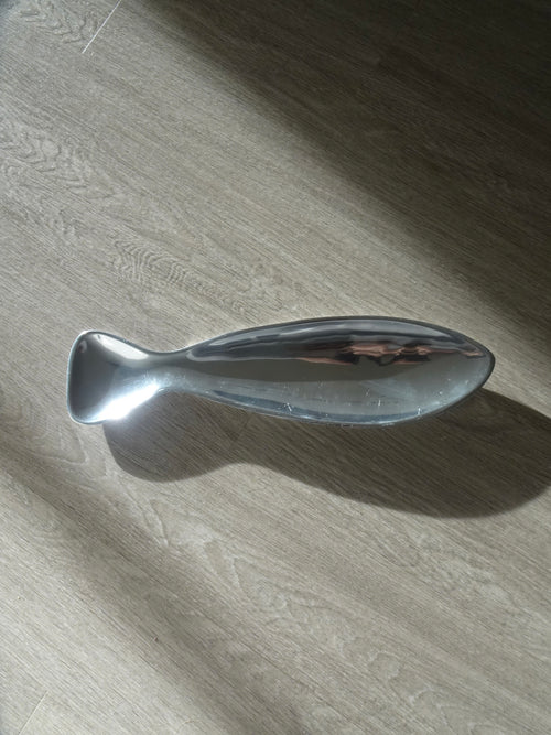 Silver Fish Tray
