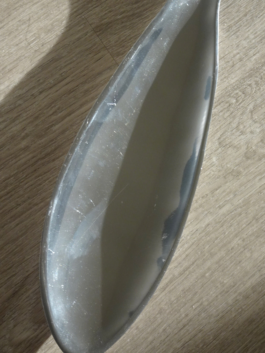 Silver Fish Tray