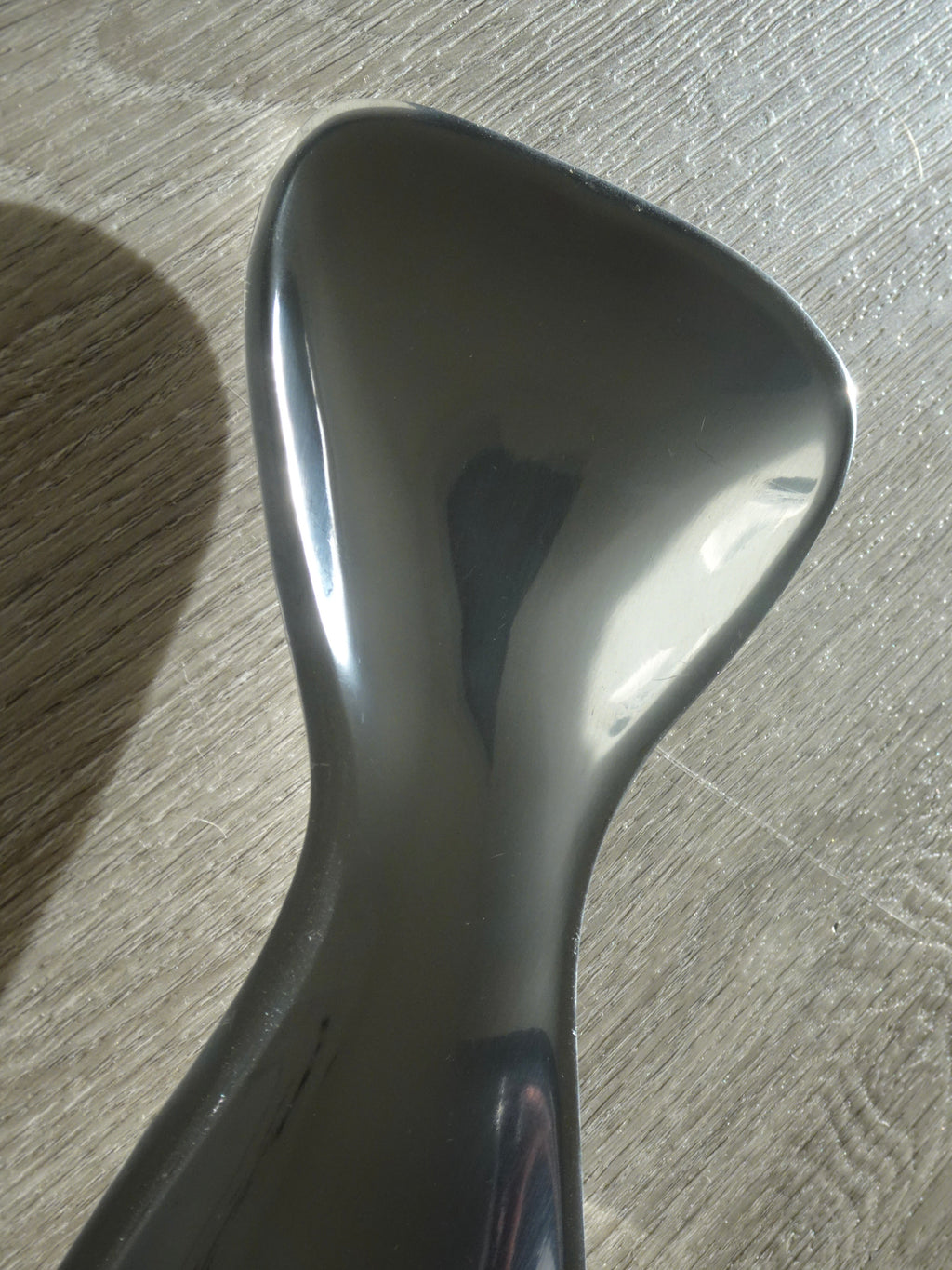 Silver Fish Tray